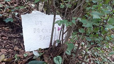 PAROLA PER PAROLA (18)